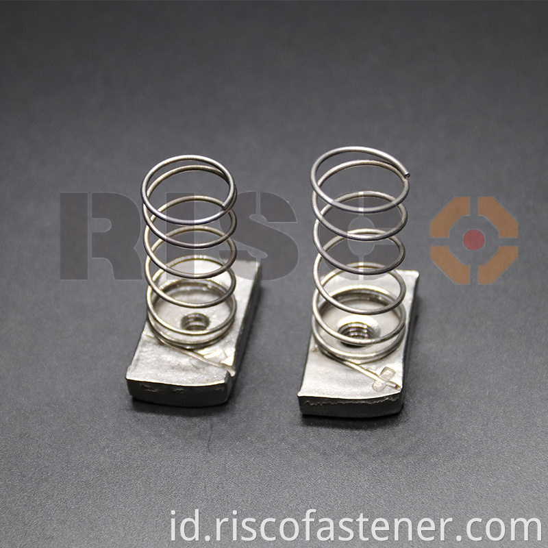 Stainless Steel Spring Nut